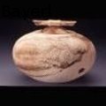 LeRoyBayerl